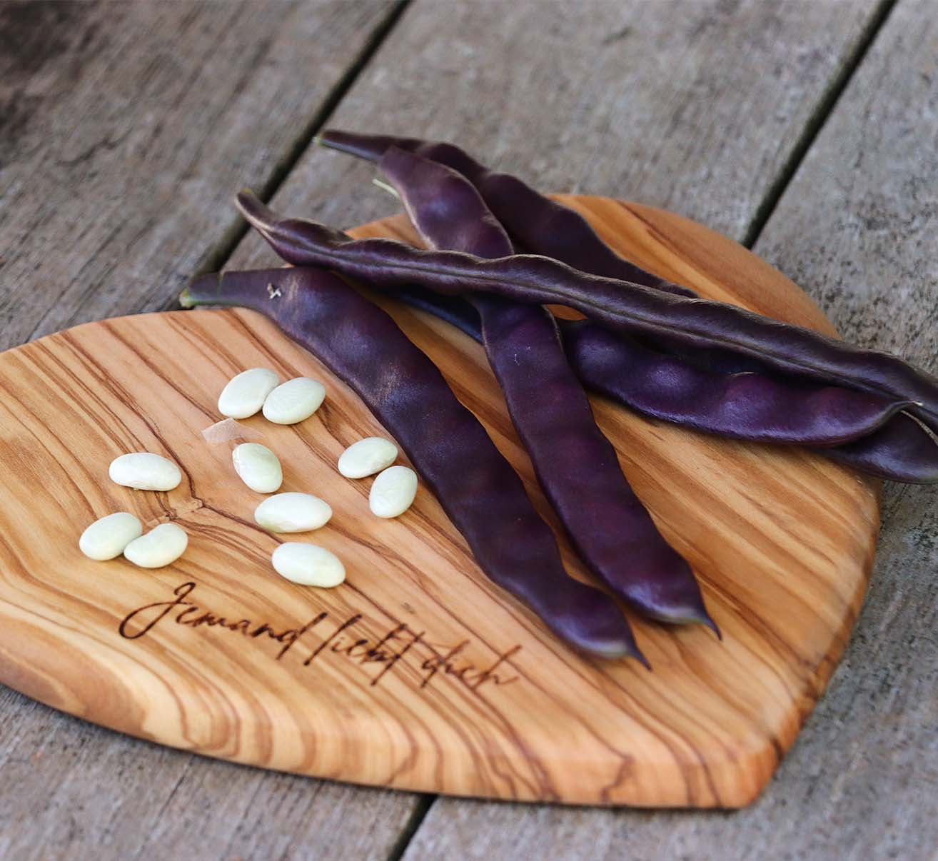 Buschbohne: Steckbrief Beitragsbild