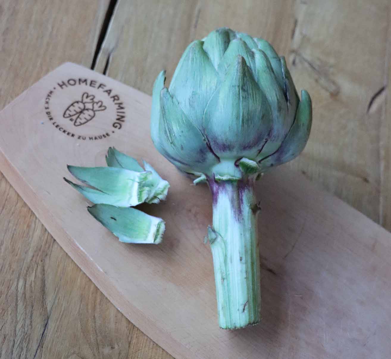 Artischocke im eigenen Garten anbauen