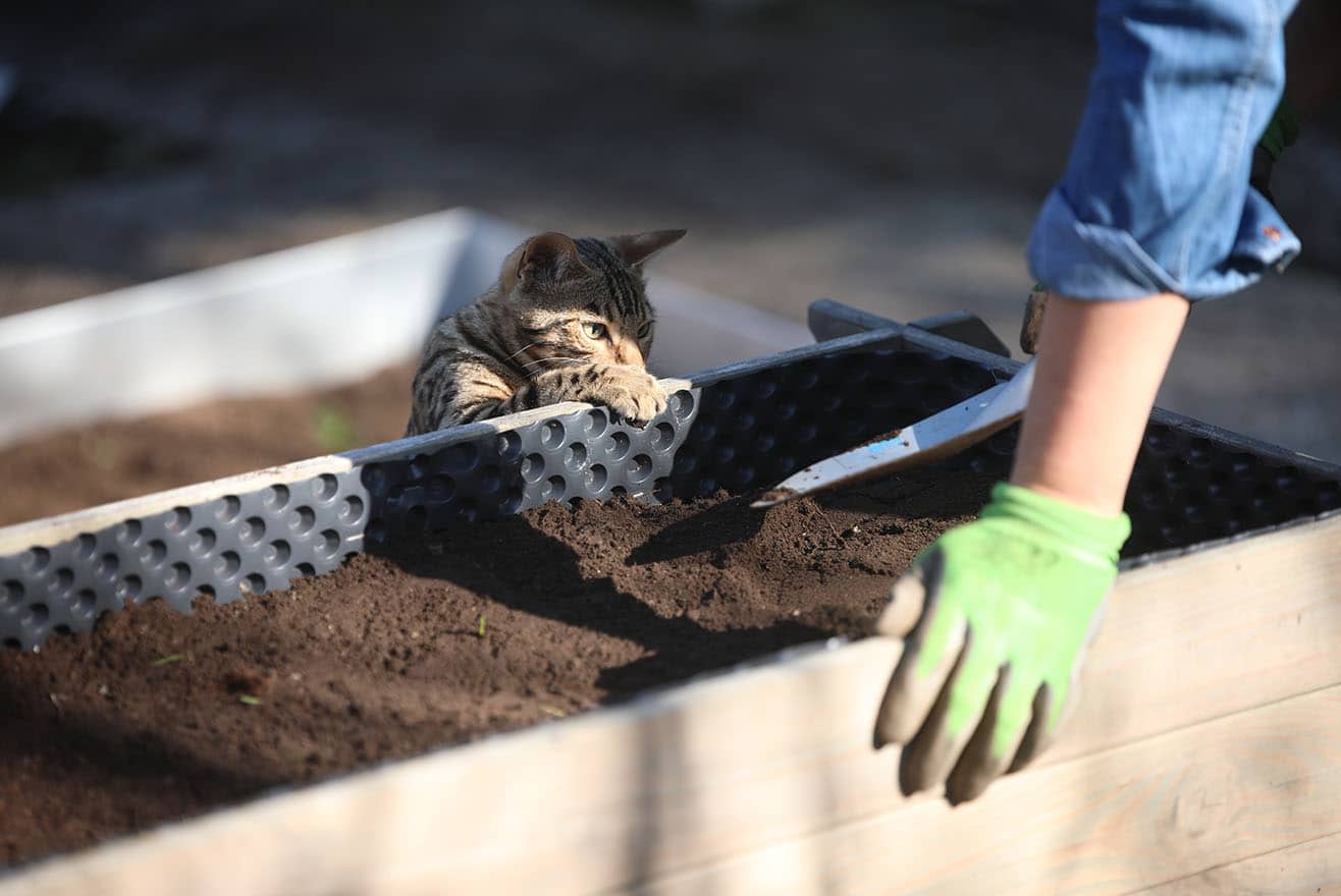Gemüseanbau im April