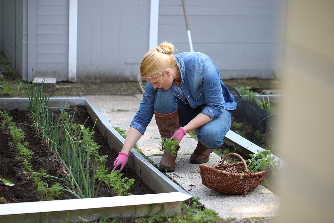 Mischkultur im Garten