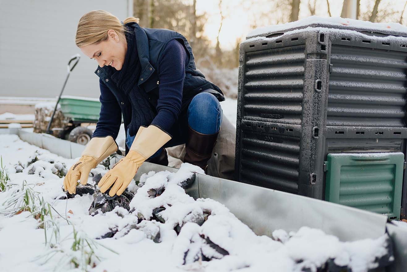 Fruchtfolge und Fruchtwechsel