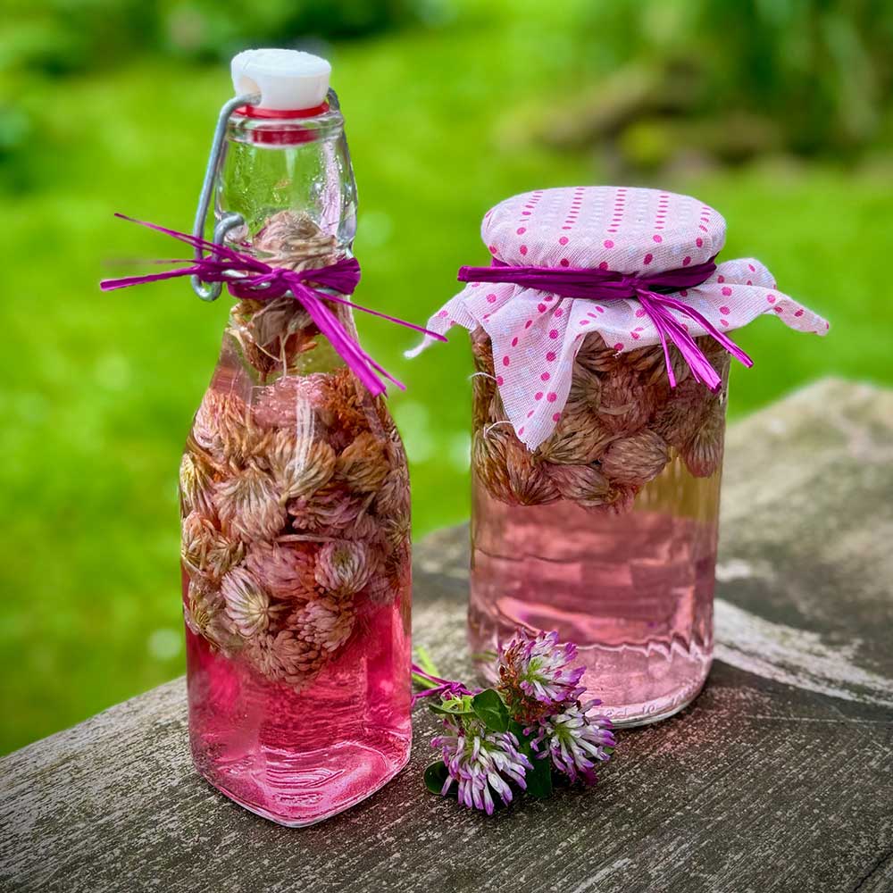 Rotklee Essig Rezept | Rosa Essig mit Rotkleeblten | Homefarming