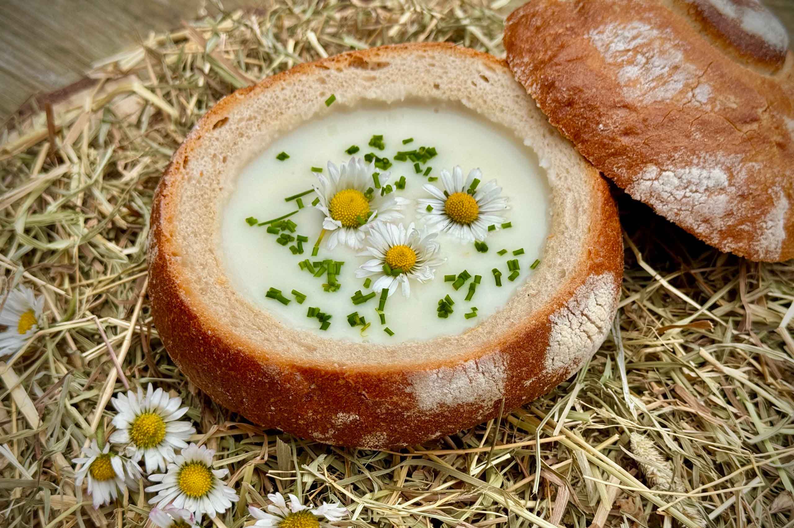 Gänseblümchensuppe Rezept