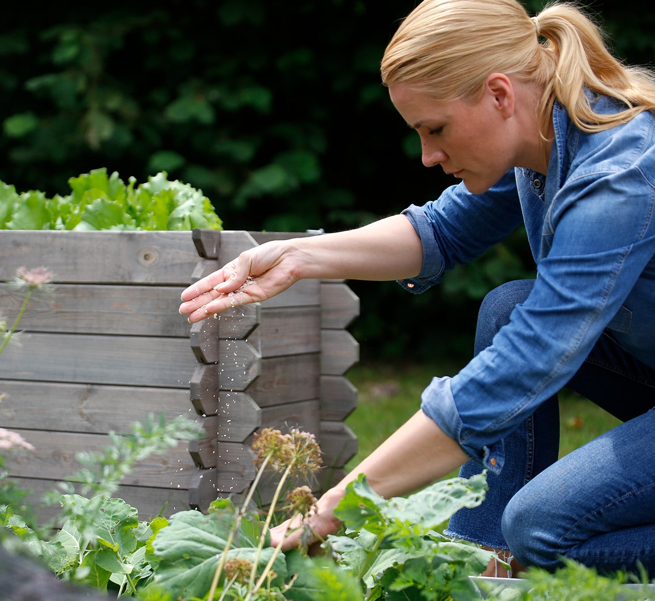 Das richtige Düngen