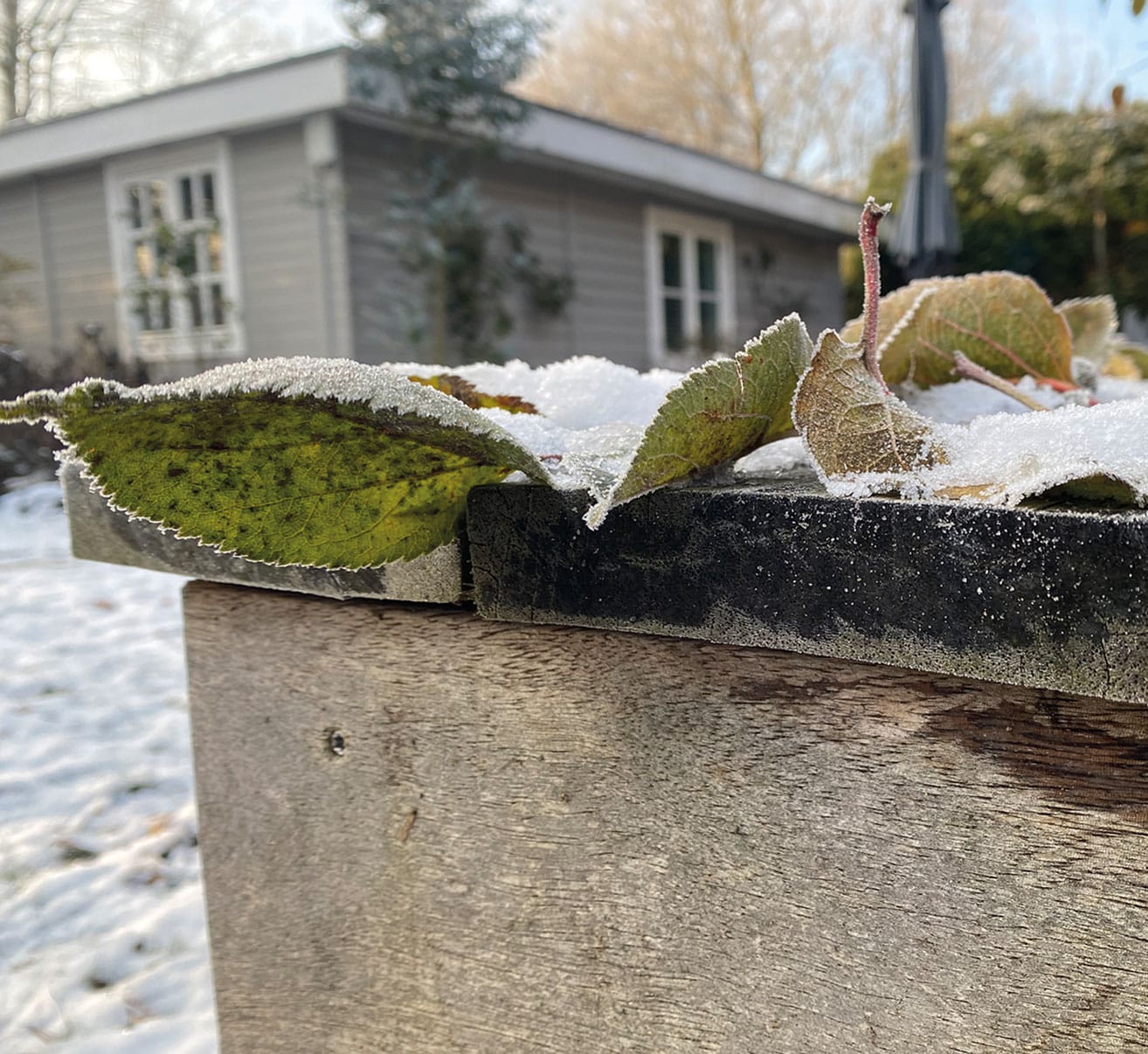 Winterruhe im Garten