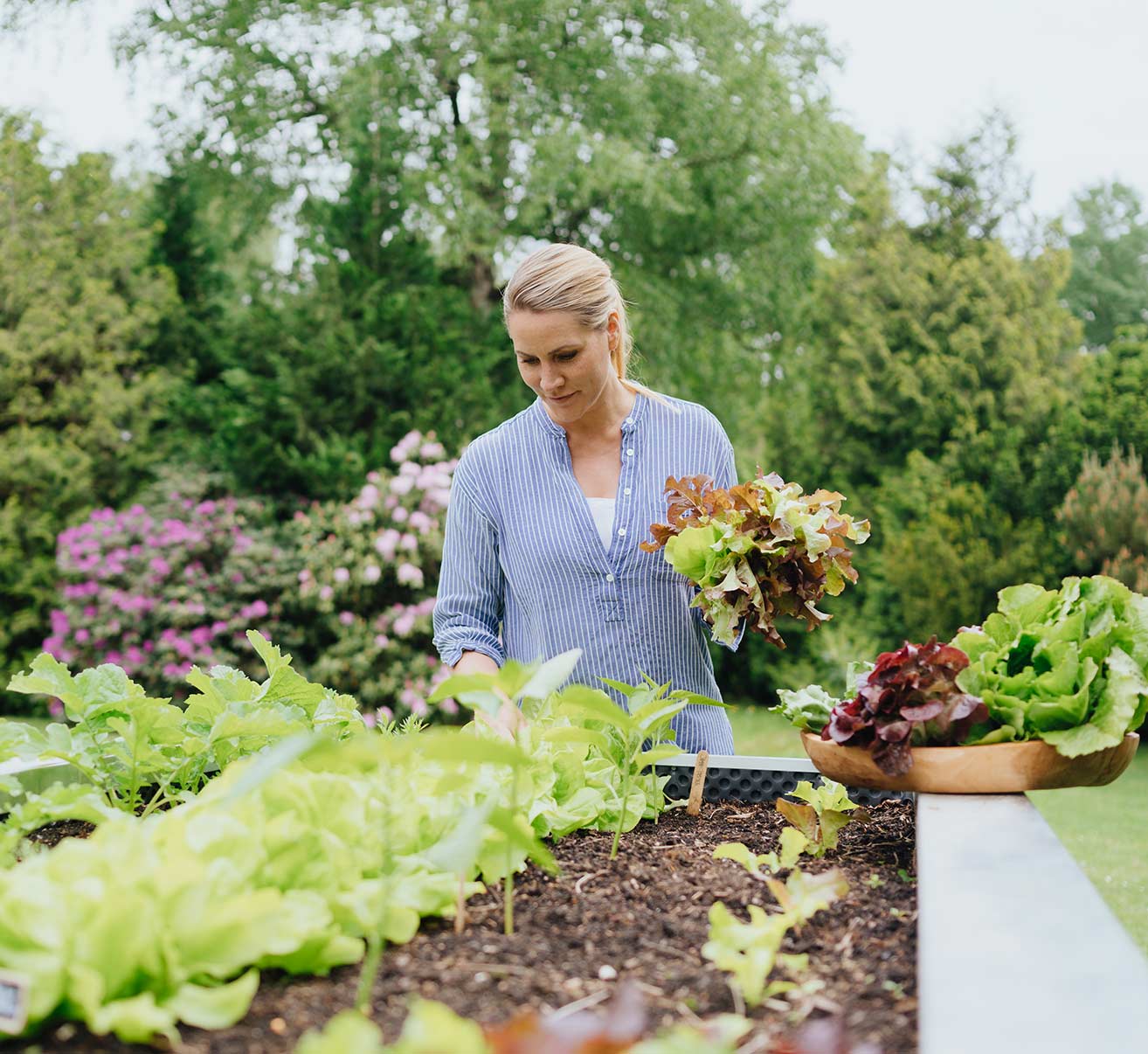 Fruchtfolge im Hochbeet