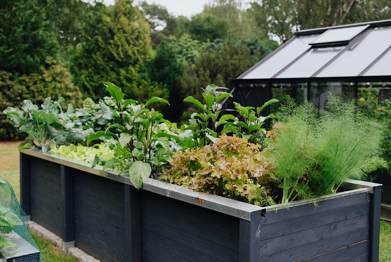 Hochbeet bauen