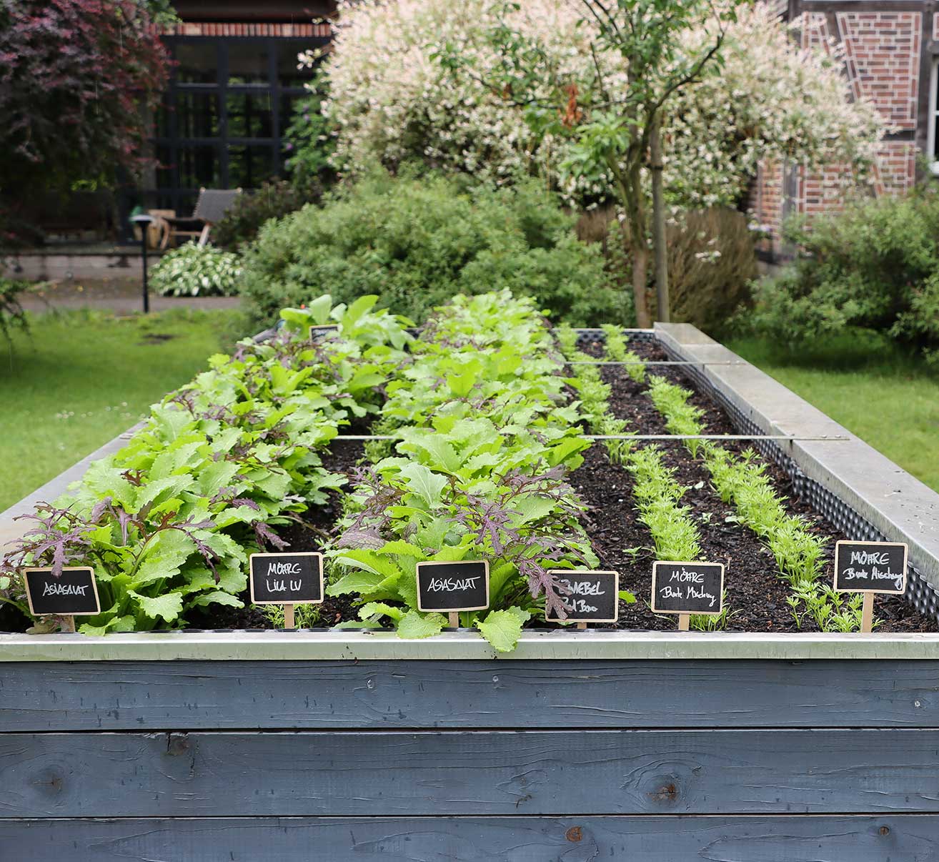 Gestaffelter Anbau im Hochbeet
