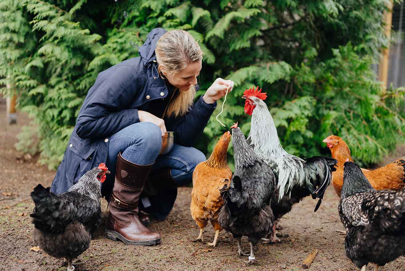 Hausapotheke für Hühner