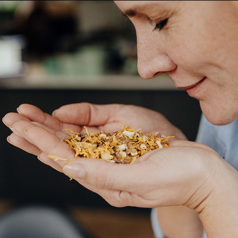 Jacks Lieblingszucker