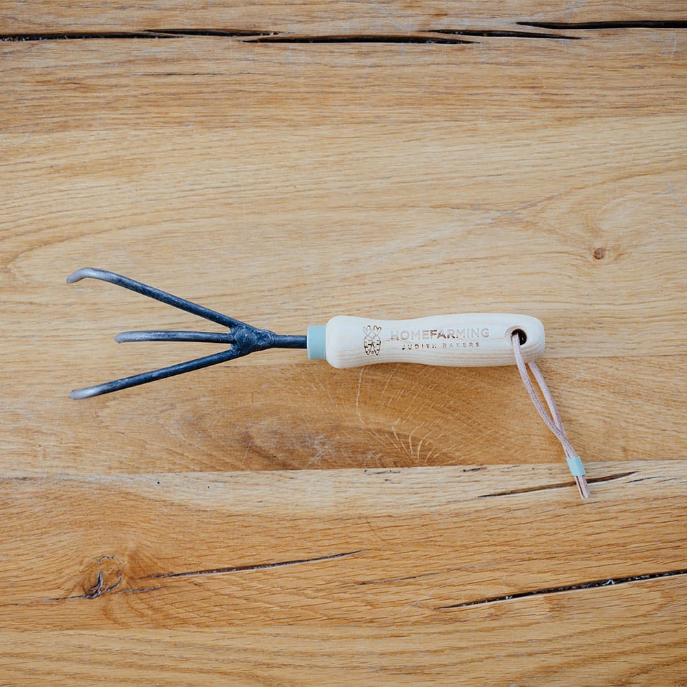 Lockermacher ganz auf einem Holztisch