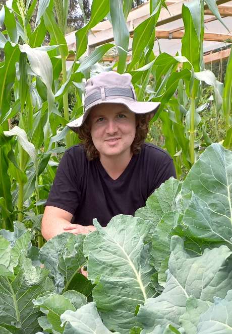 Niko - Team kleine Farm