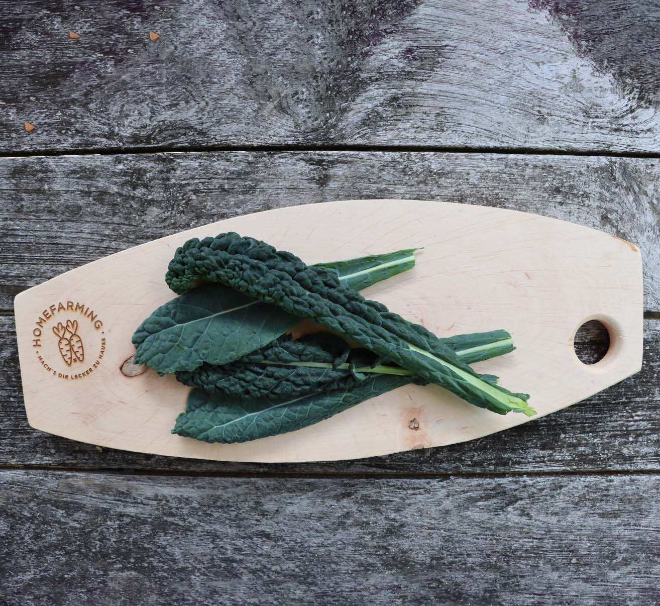 Palmkohl selber anbauen