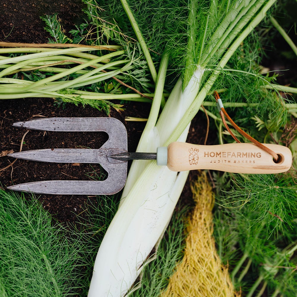 Pflanzgabel ganz im Beet mit Gemüse