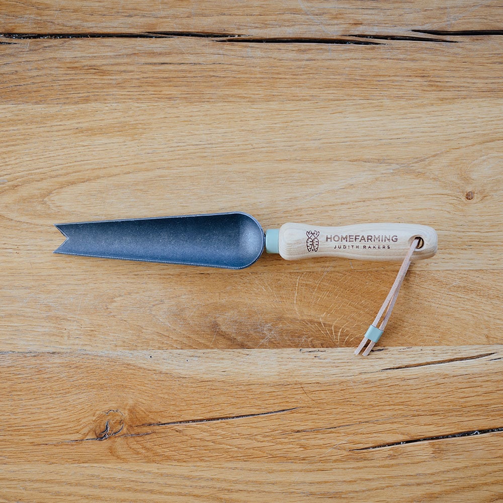 Pikierwerkzeug ganz auf einem Holztisch