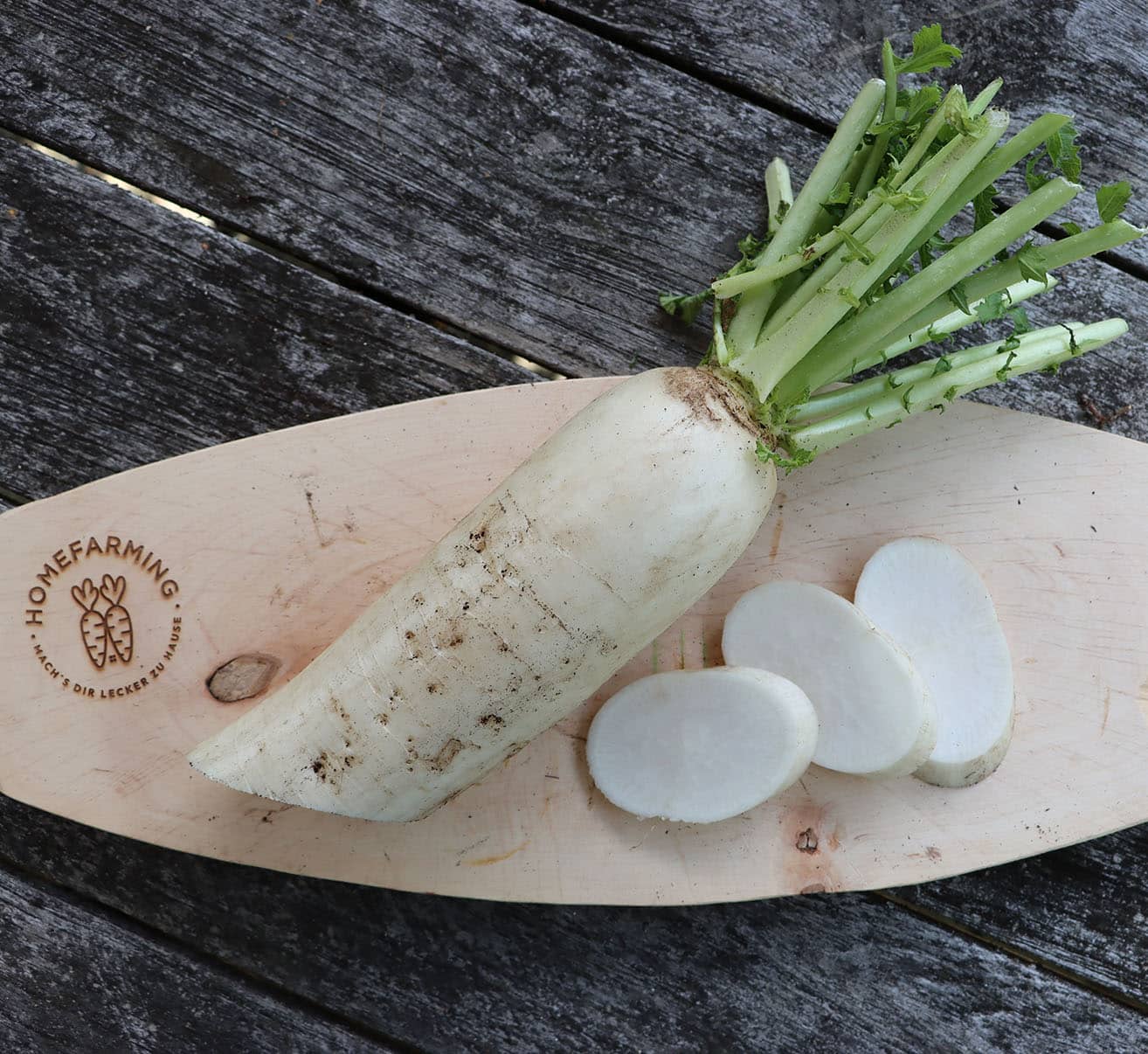 Rettich selber anbauen