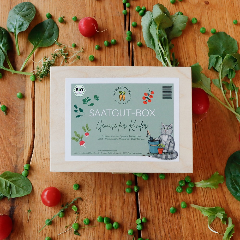 Saatgut-Box Kinder Frontansicht Holzbox