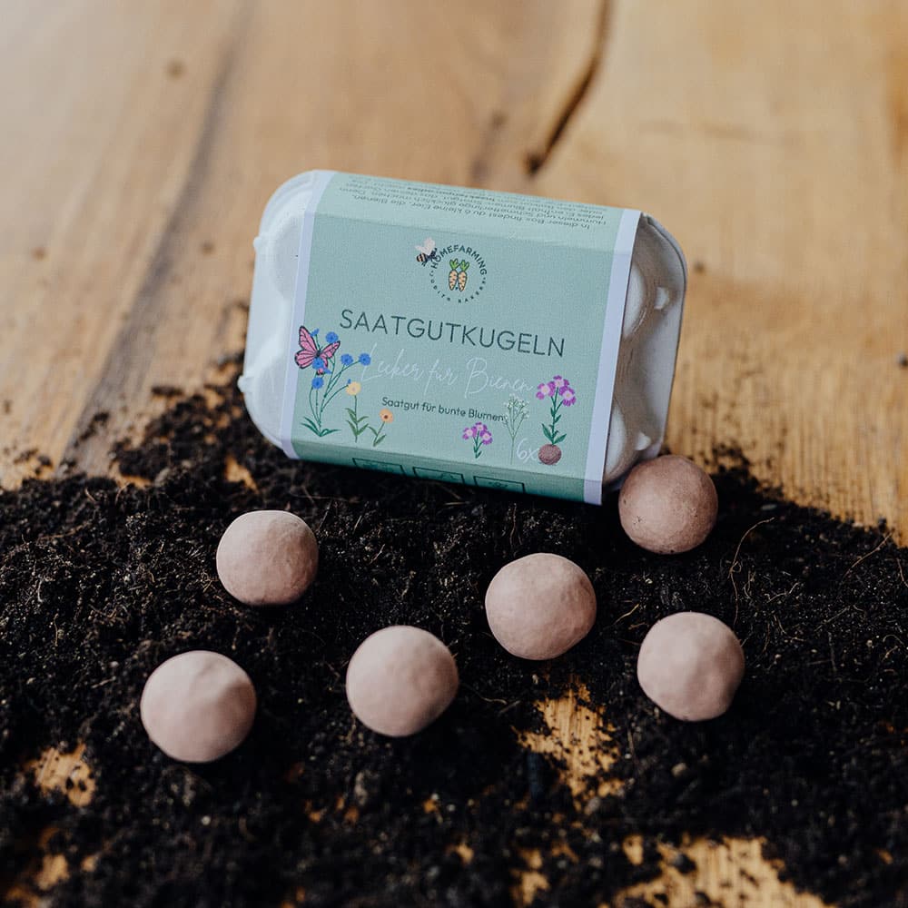 Saatgutkugeln lecker für Bienen