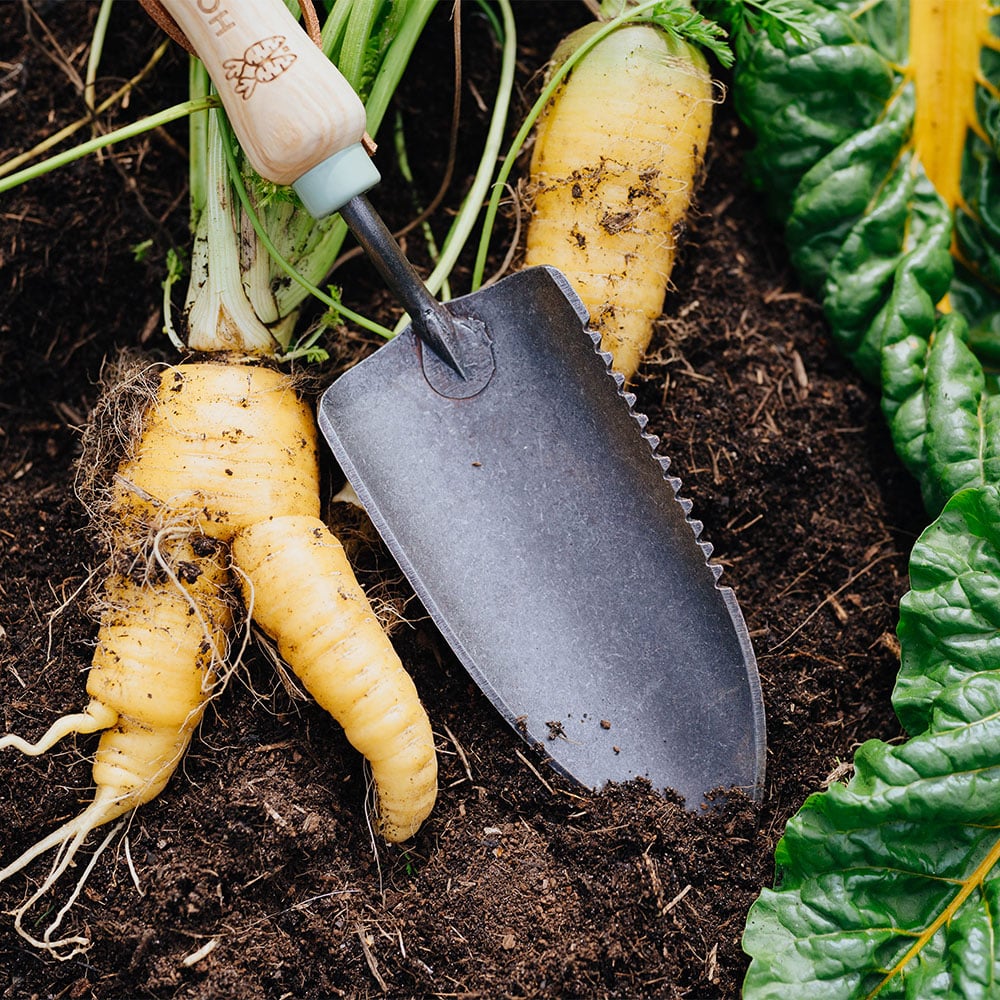 Pflanzschaufel mit Wurzelsäge im Beet