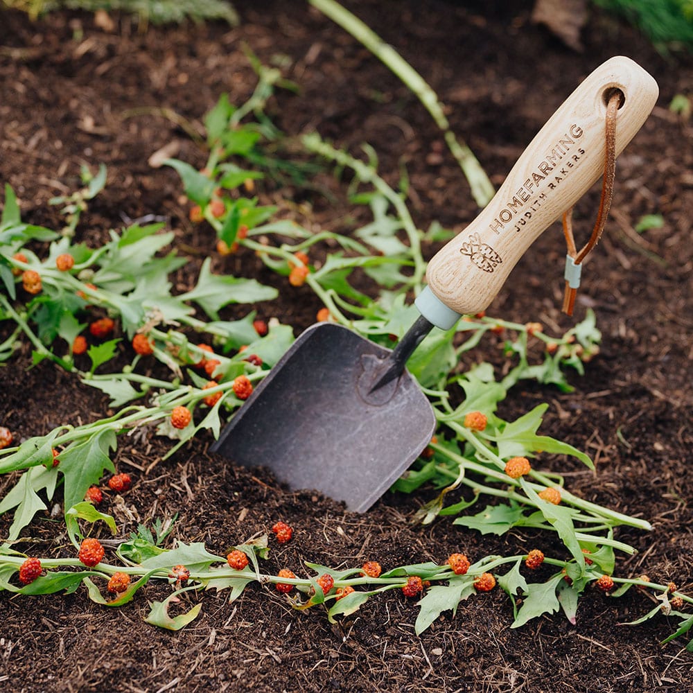 Pflanzschaufel im Beet