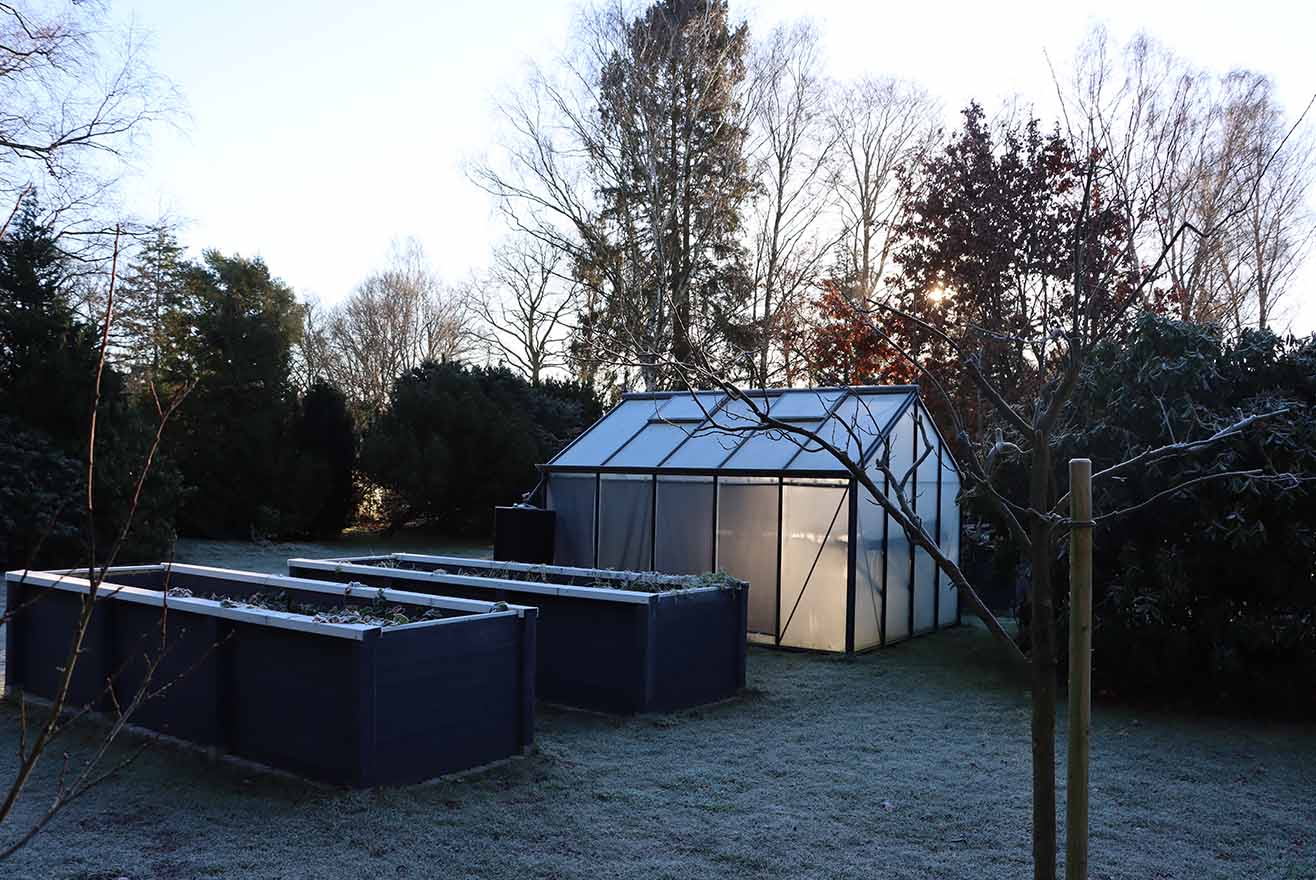 Spätfrost im Frühjahr