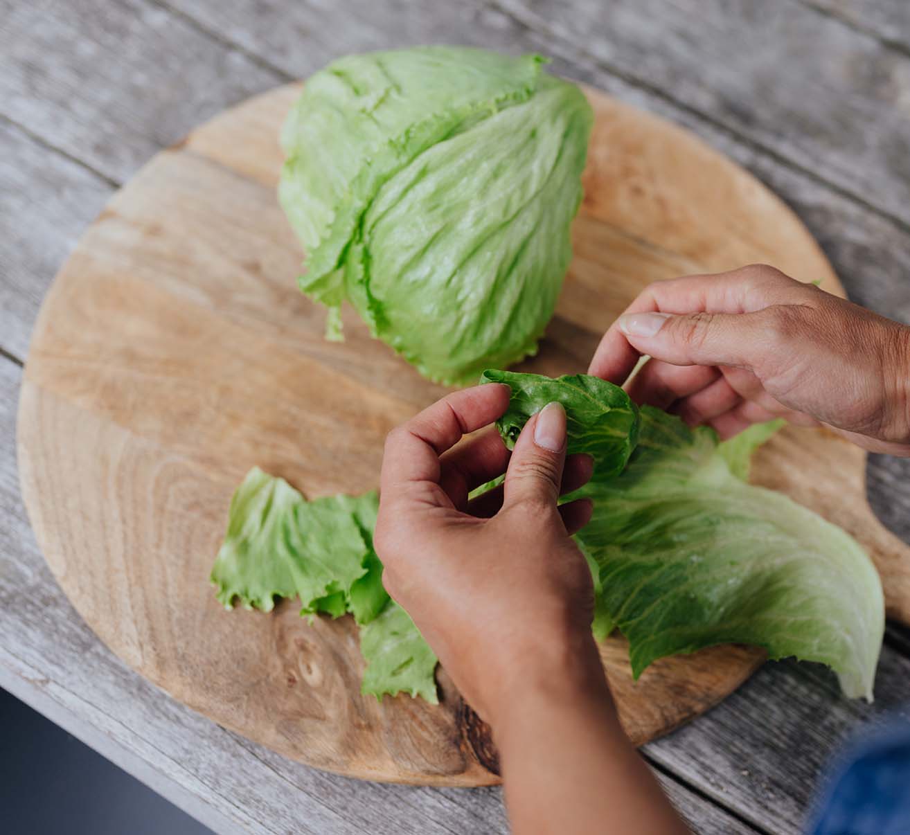 Eisberg- und Bataviasalat