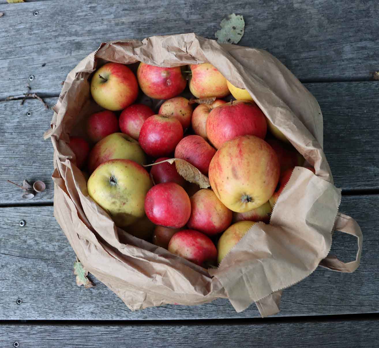 Äpfel im eigenen Garten