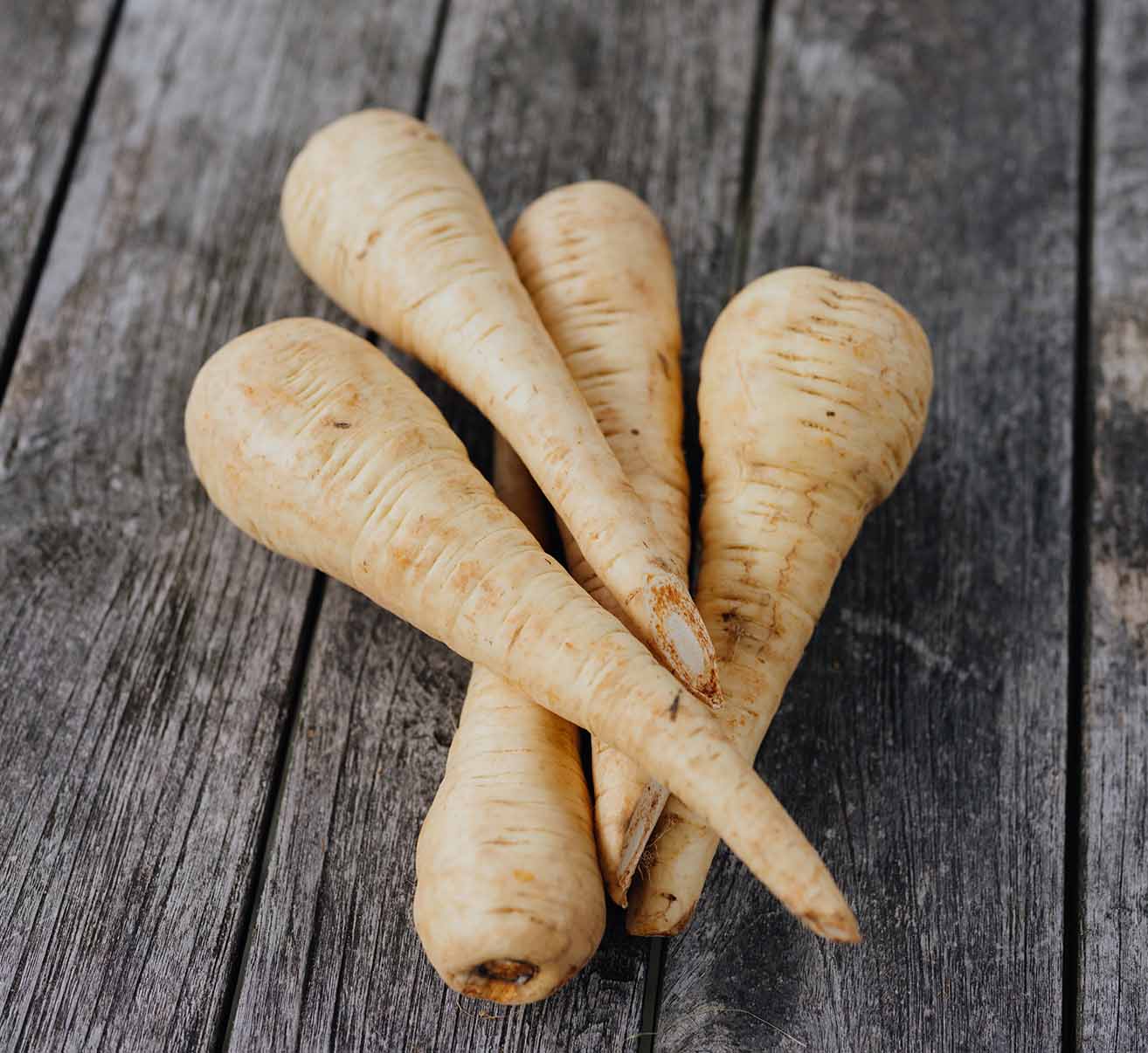 Pastinake selber anbauen