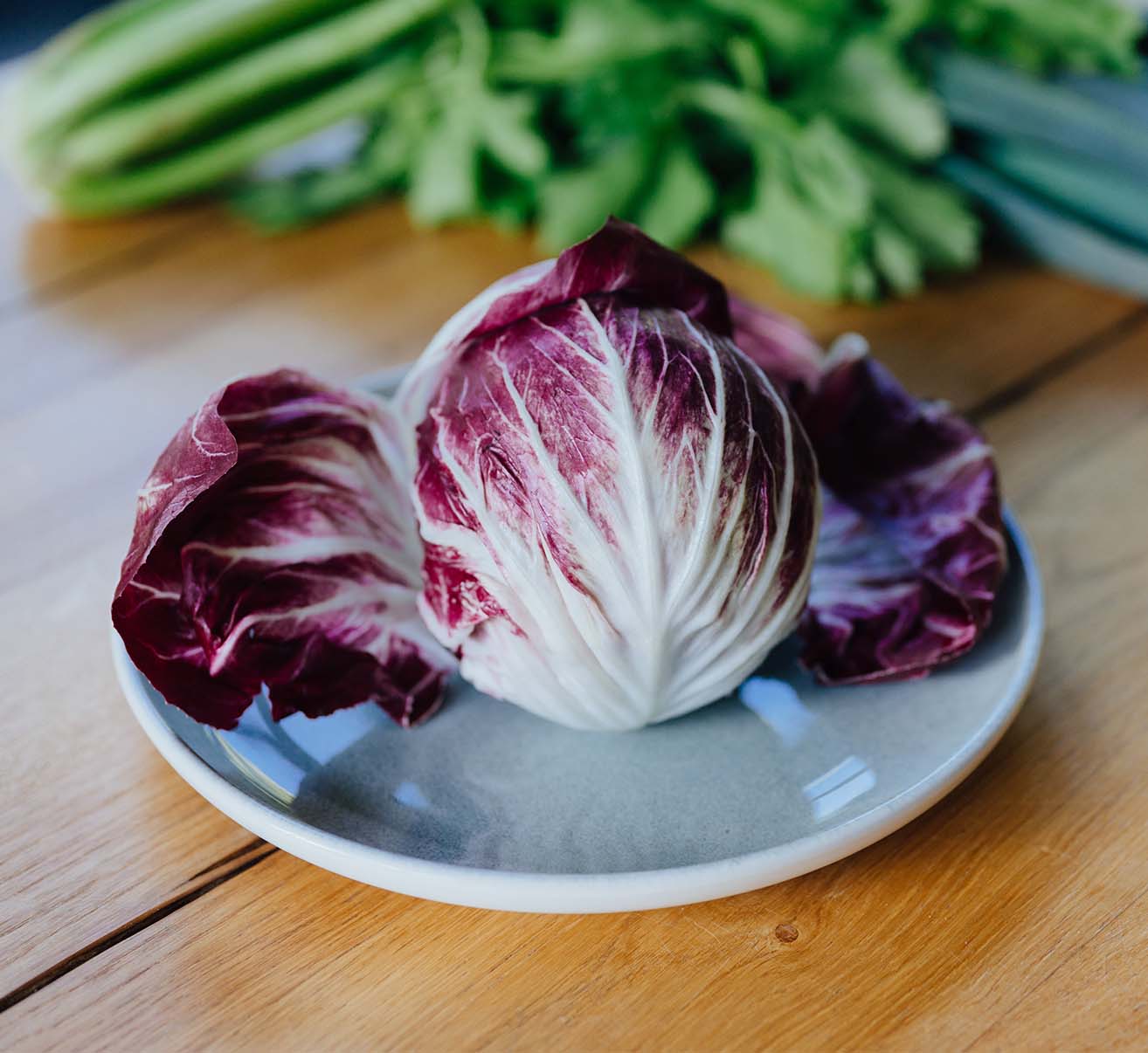 Radicchio selber anbauen