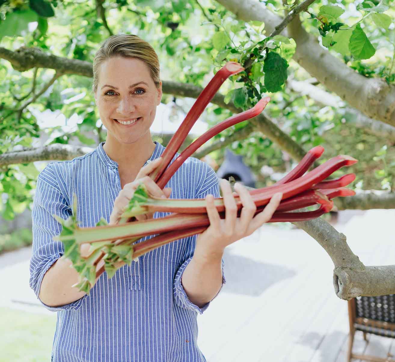 Rhabarber selber anbauen