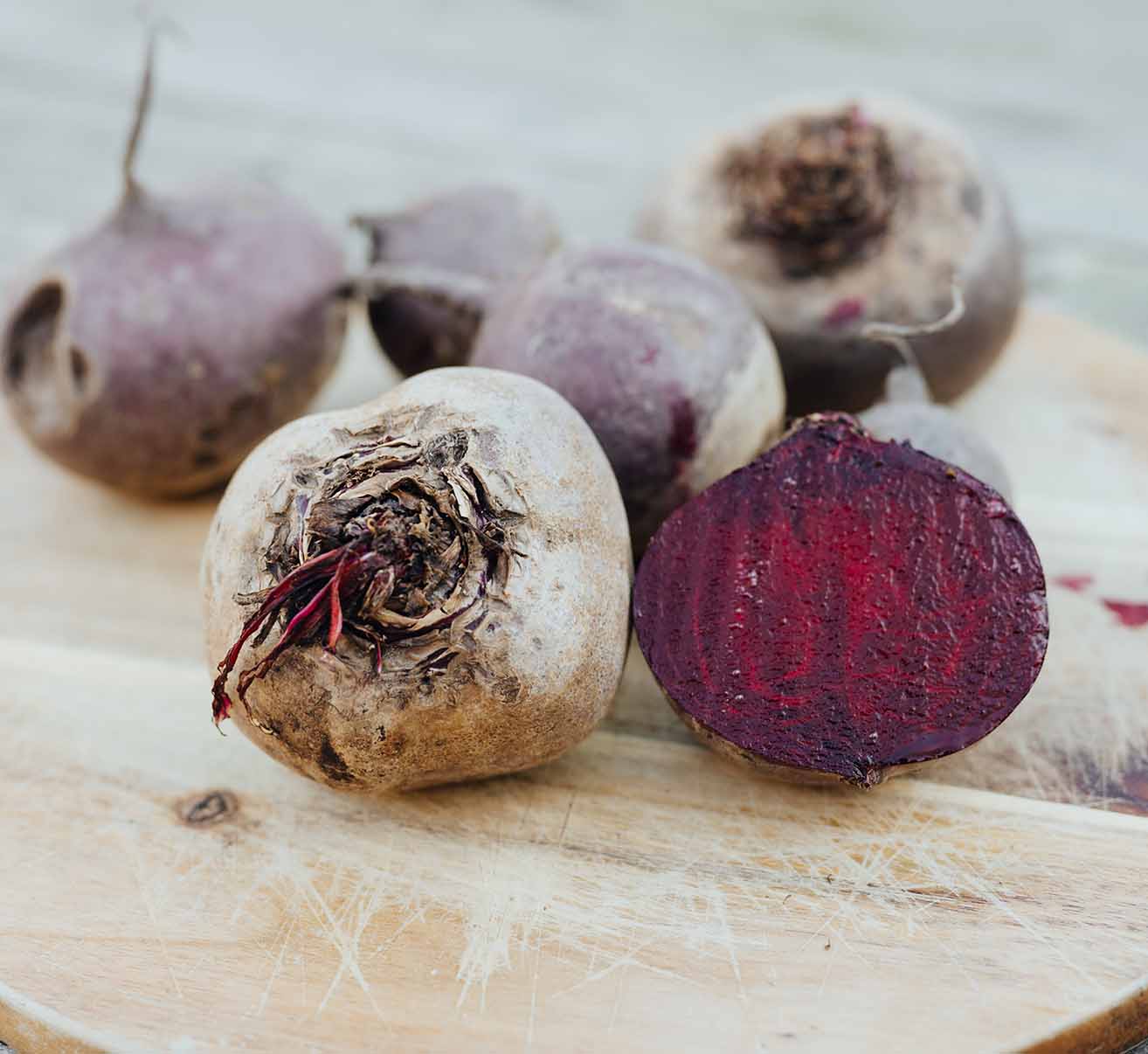 Rote Bete selber anbauen