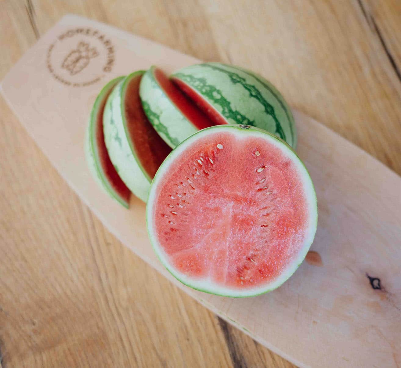 Wassermelone selber pflanzen