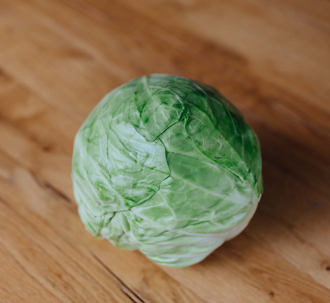 Weißkohl selber pflanzen