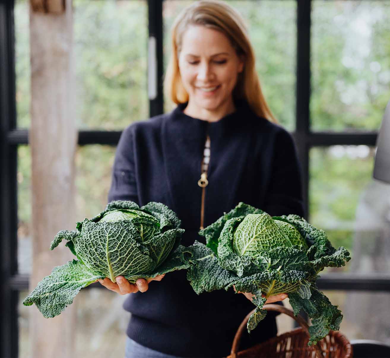 Wirsing selber pflanzen