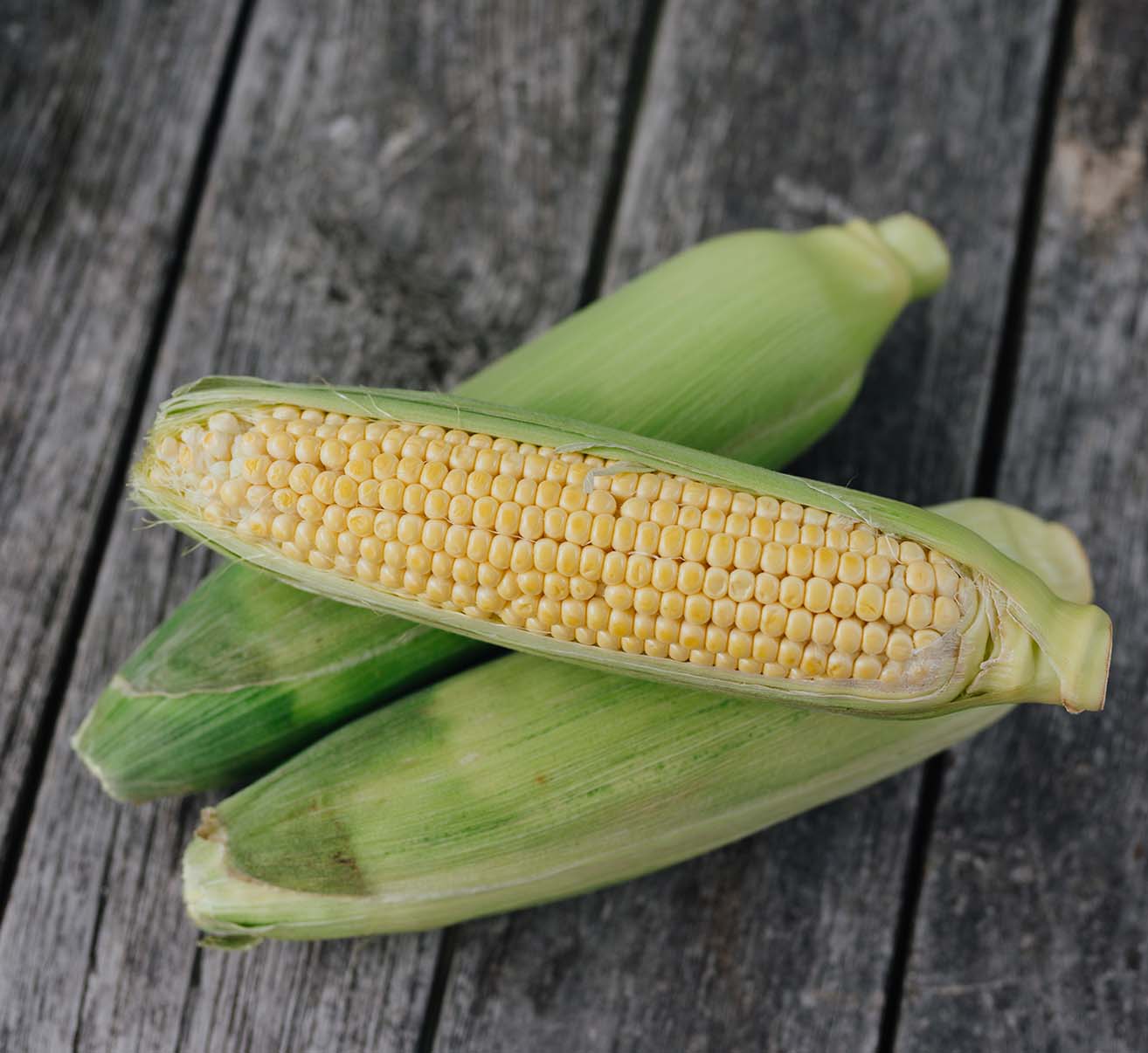 Zuckermais selber anbauen
