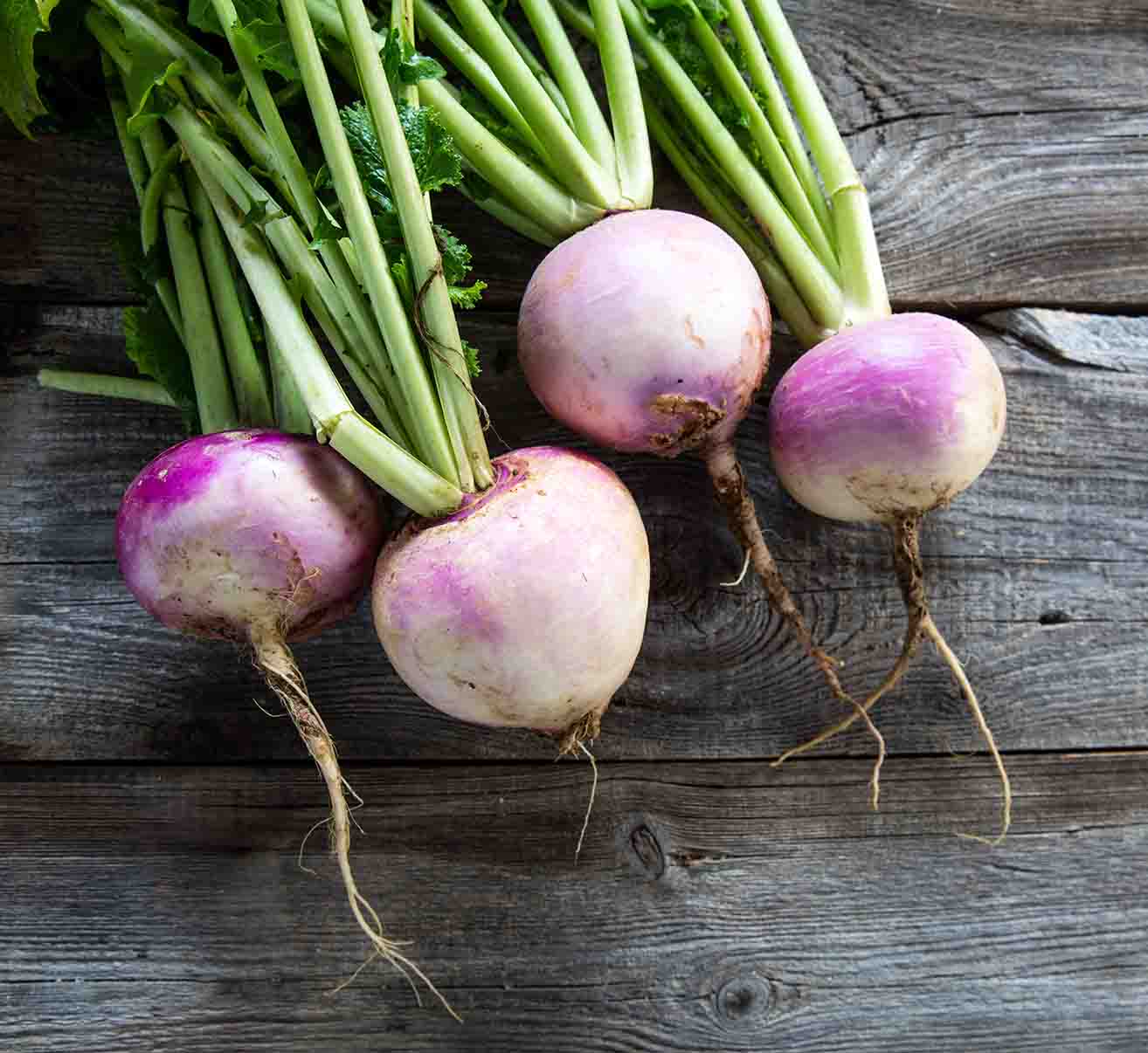 Speiserüben selber anbauen