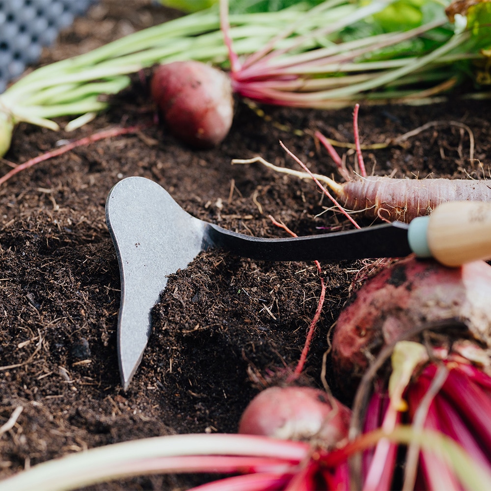 Unkraut-Sichelhacke Detail mit Gemüse