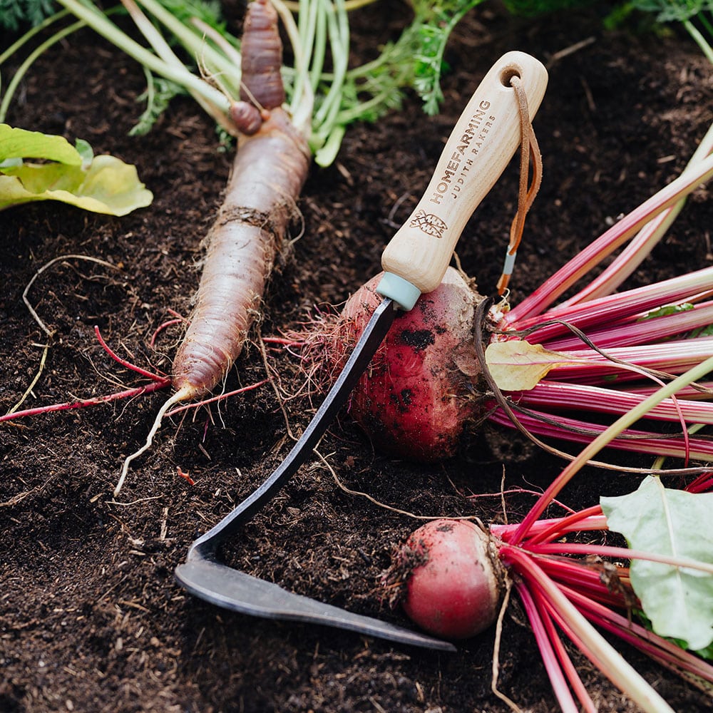 Unkraut-Sichelhacke mit Gemüse im Beet