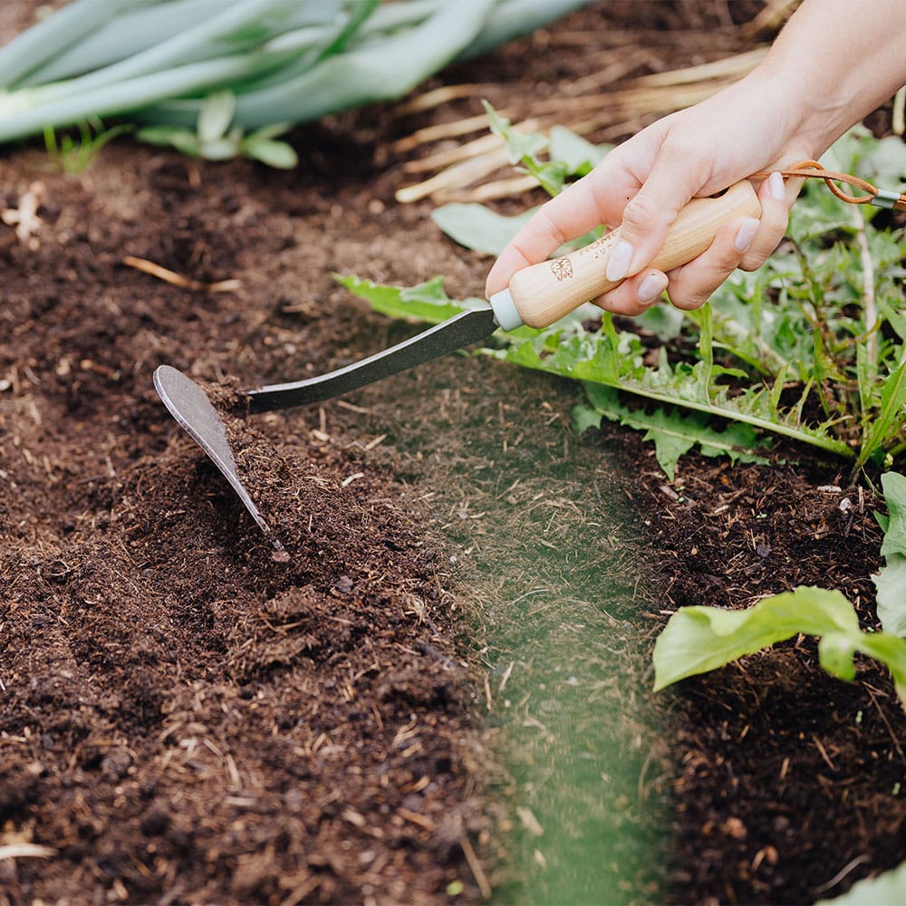 Unkraut-Sichelhacke im Beet