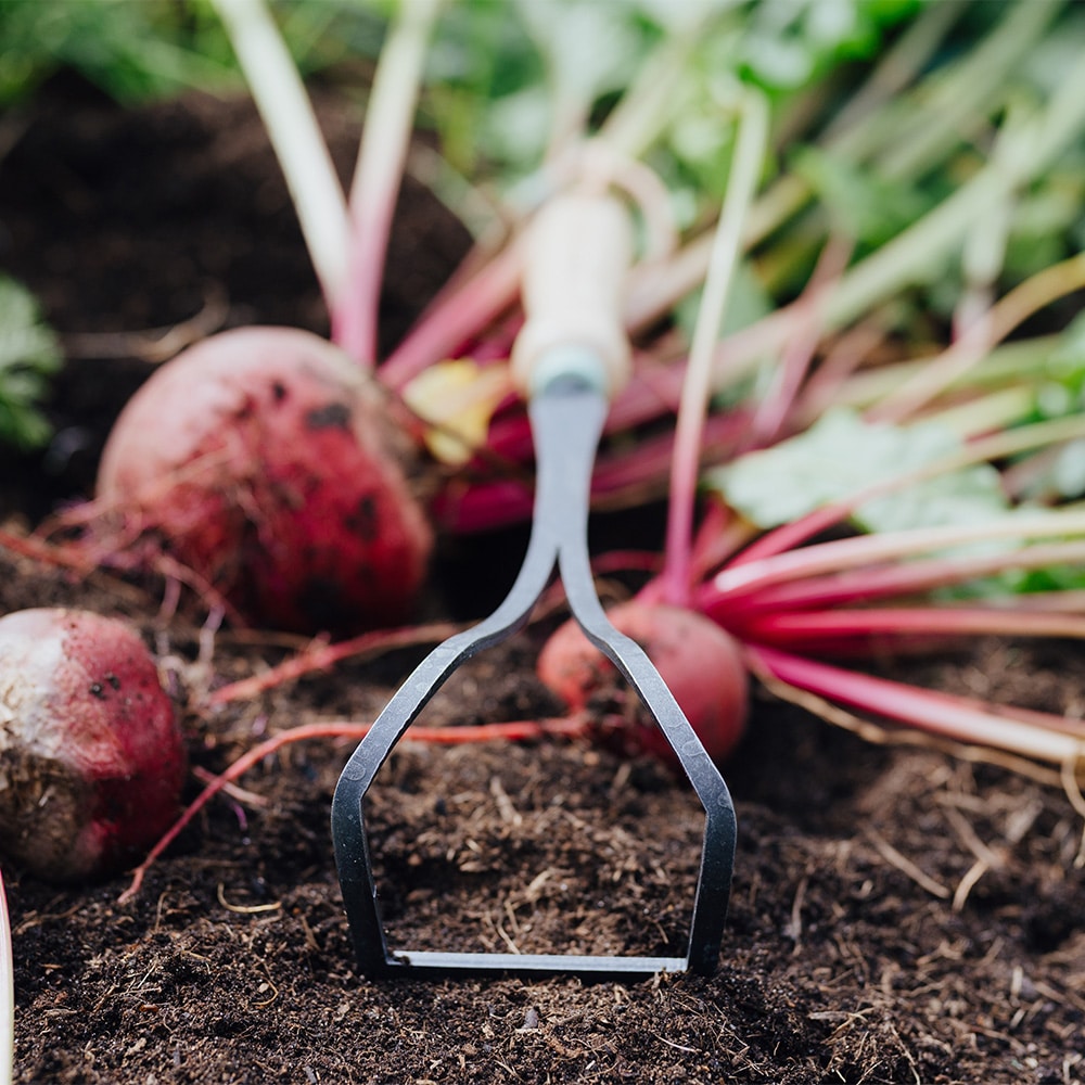 Unkrautwunder mit Gemüse im Beet