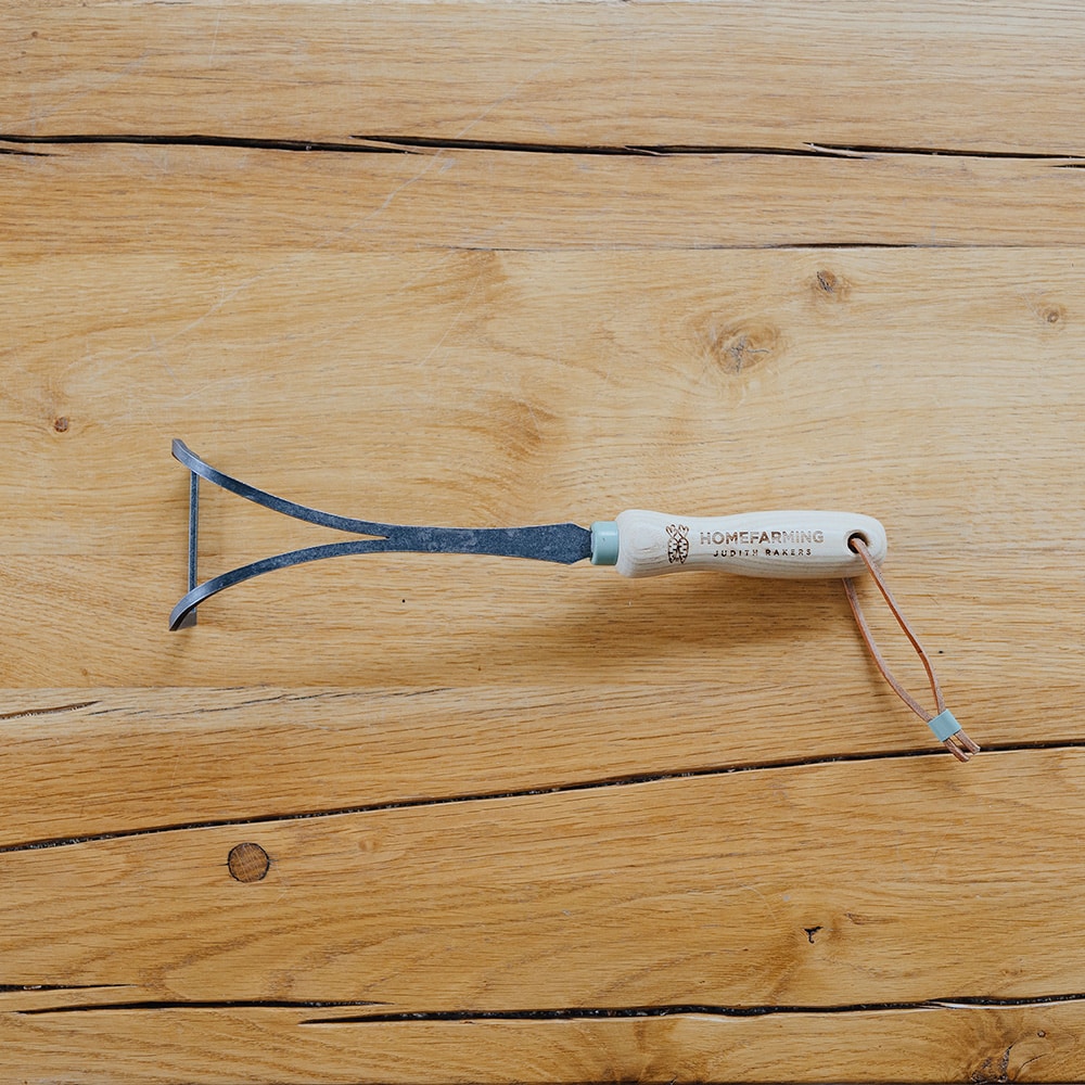 Unkrautwunder ganz auf einem Holztisch