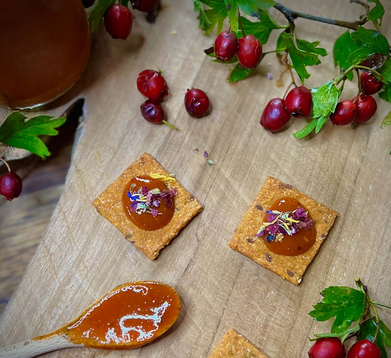 Weißdorn Ketchup Rezept