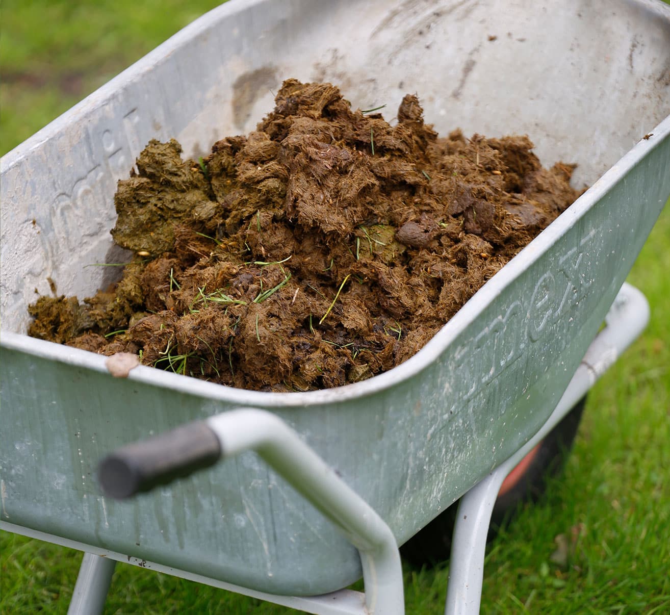 Beete winterfest machen