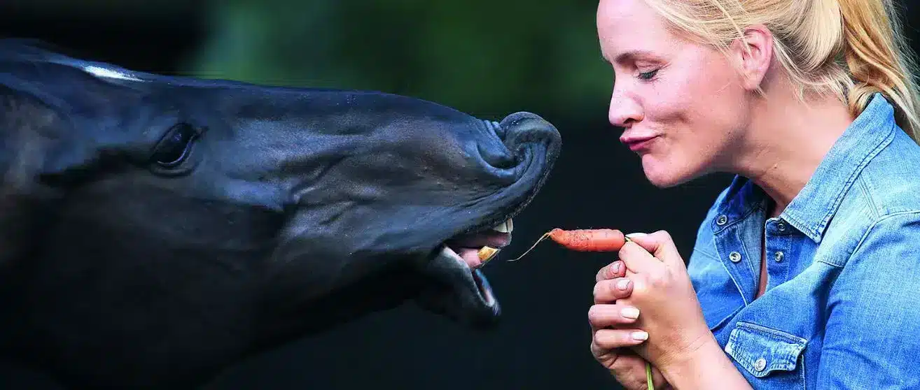 Meine kleine Farm kennenlernen - Homefarming