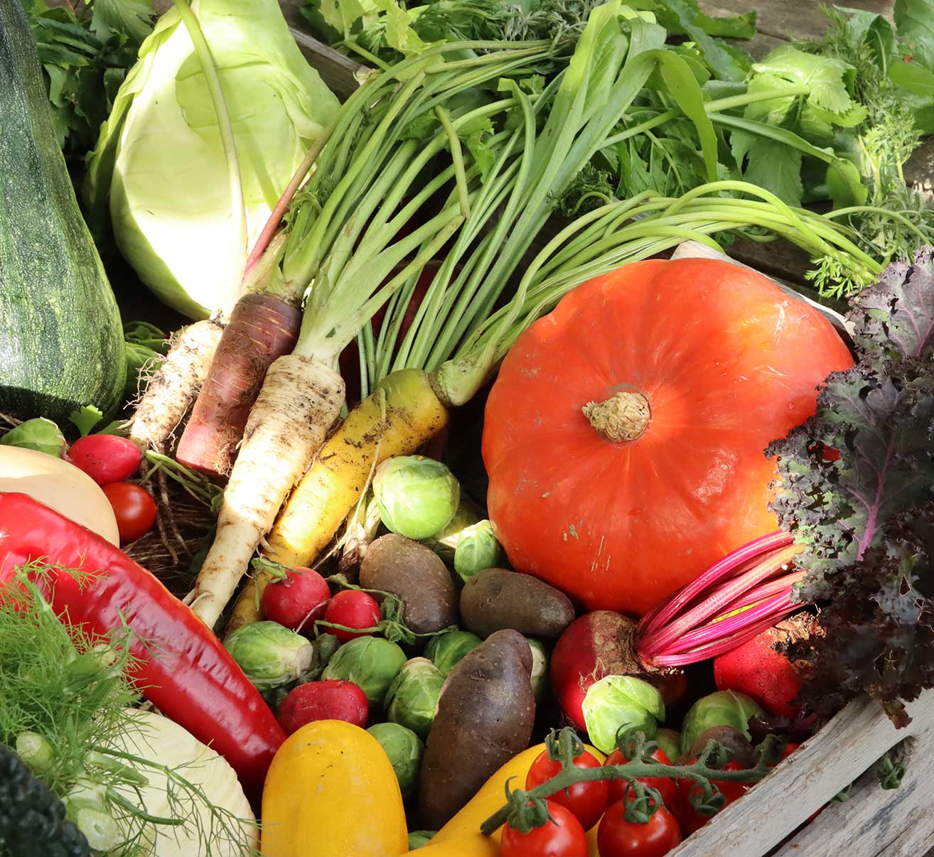 Selbstversorgerwissen