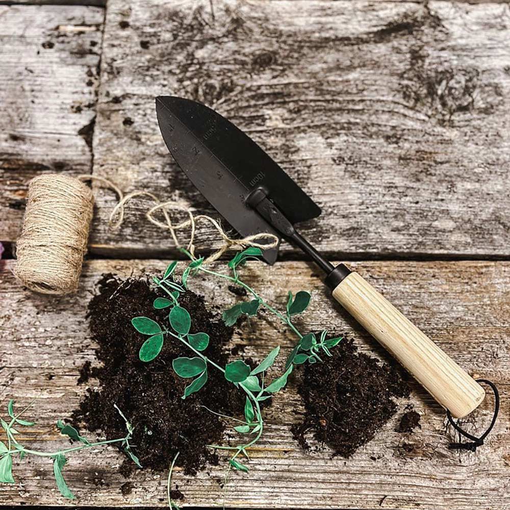 by Benson Handschaufel