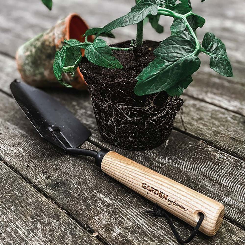 by Benson Pflanzspaten