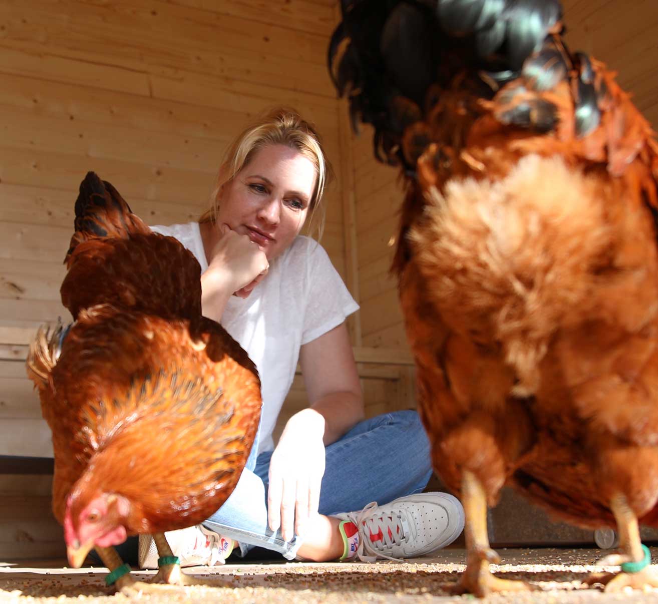 Hühnerschaukel bauen: DIY für die ganze Familie