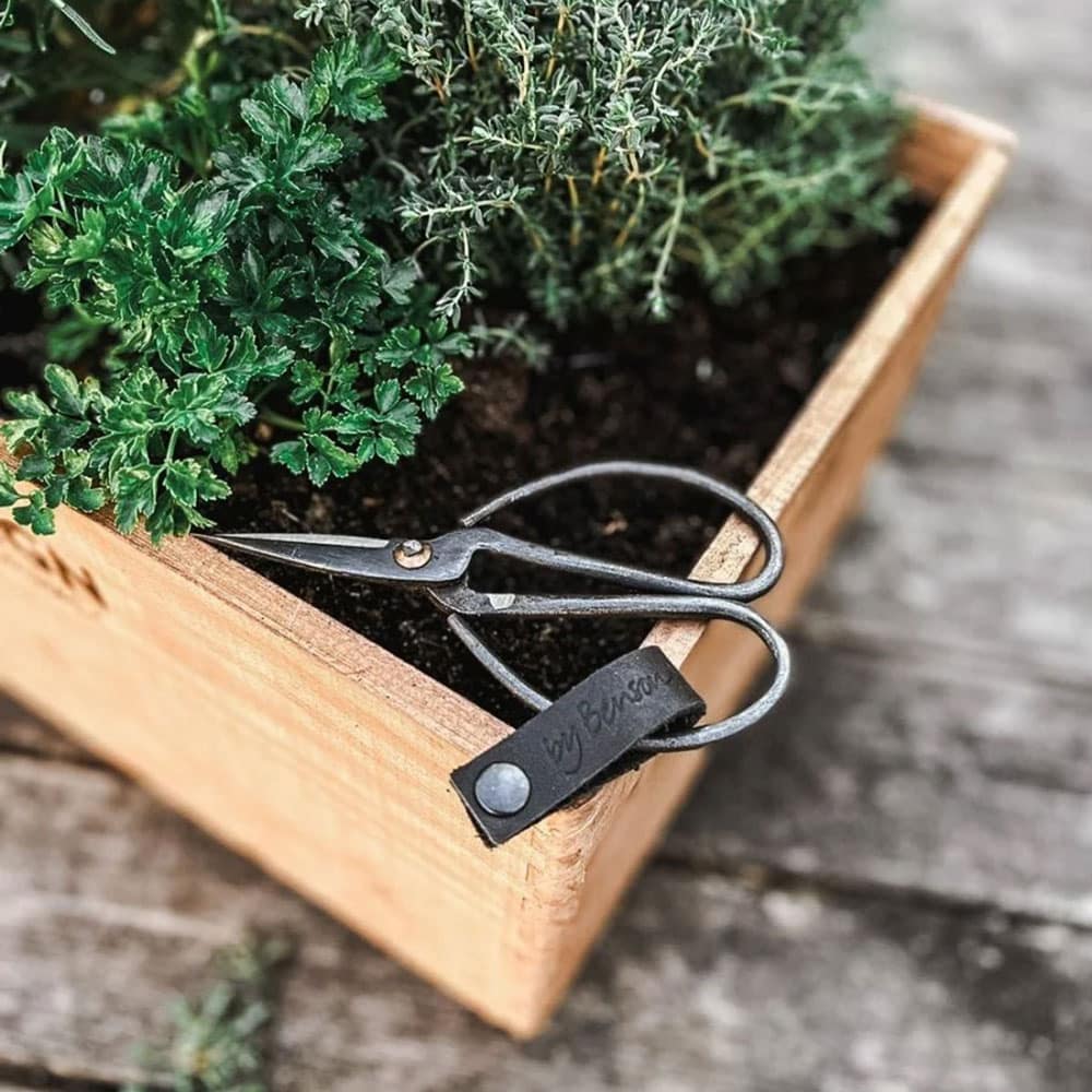 by Benson Schere Sax Lux