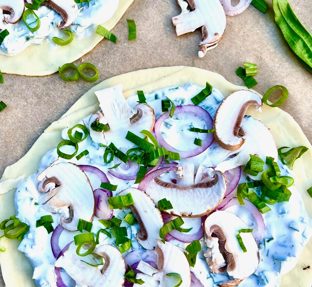 Rezept Spitzwegerich Wiesen Wiesenkräuter